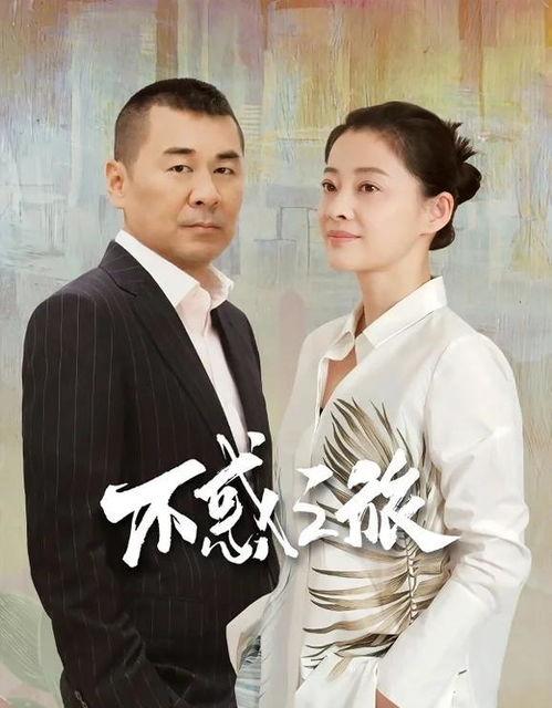 陈建斌电视剧,电视剧中的深情与担当